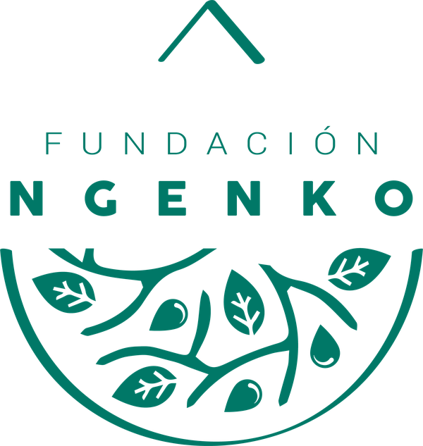 Fundación Ngenko